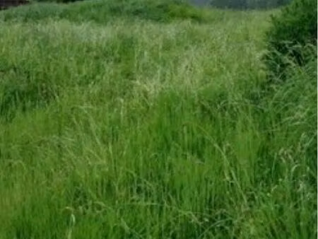 cherche terrain à bâtir