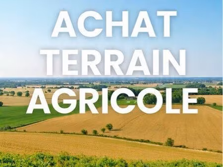 terrain agricole ou terrain+ hangar