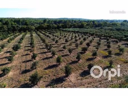 terrain agricole 32 000 m² fontvieille