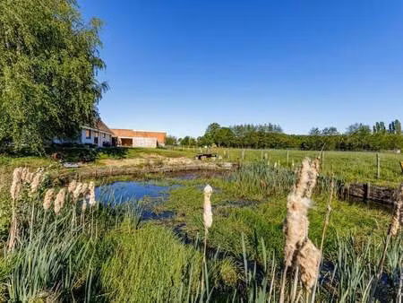 maison à vendre à zingem € 739.000 (lnyig) - vds vastgoed | zimmo