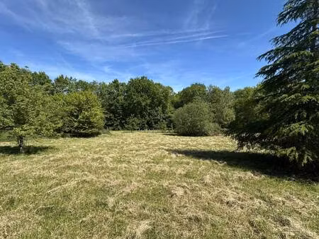 terrain constructible viabilisé à vendre