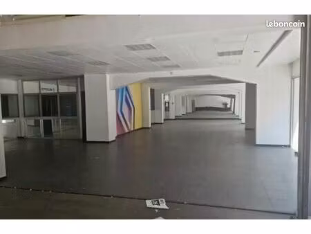 local 1000 m2
