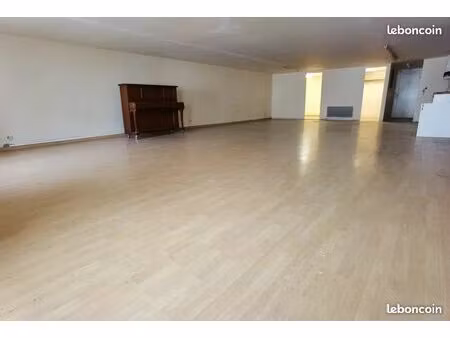 loft 100m2 usage mixte