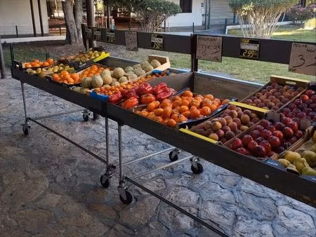fruits et primeurs