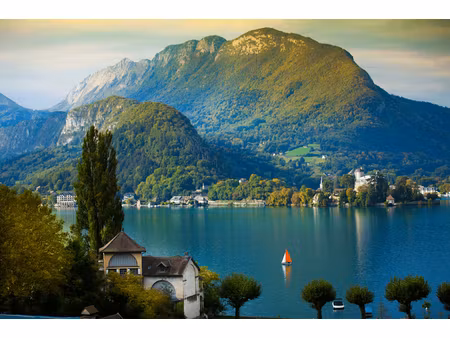 vente viager 7 pièces 191 m² à annecy (74000)  71 615 €