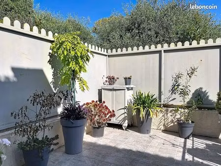 studio 1 pièce 31 m²