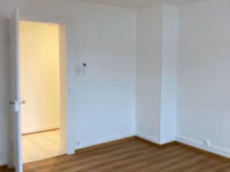 appartement climatisé robertsau 3 pièces