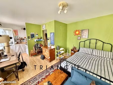 studio 1 pièce 22 m²