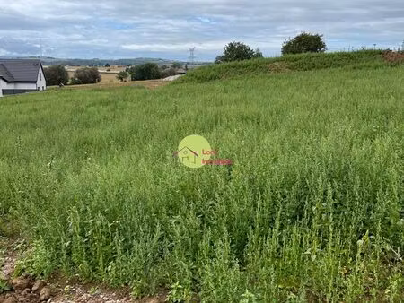 terrain 347 m² schnersheim