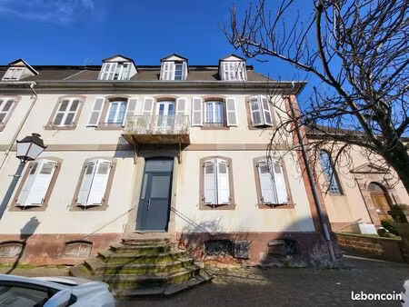 immeuble 317 m² strasbourg