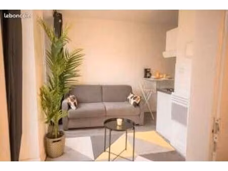 strasbourg hypercentre – lot investisseur – forte rentabilité – opportunité rare
