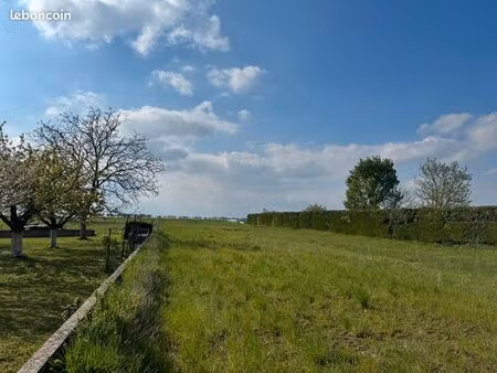 terrain 1 084 m² balgau