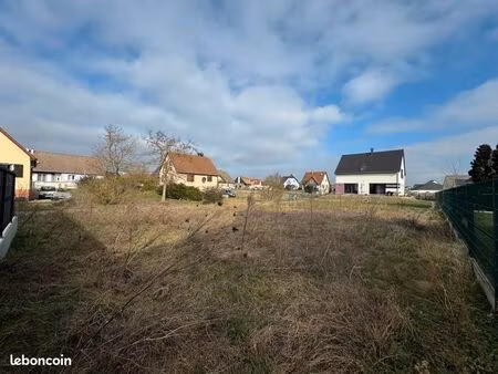 terrain 505 m² blodelsheim