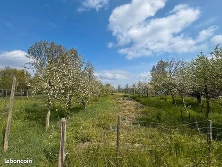 terrain 544 m² bischwihr