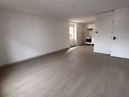 appartement entièrement renové
