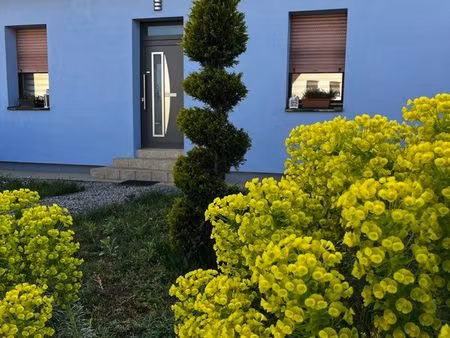 loue maison à seltz