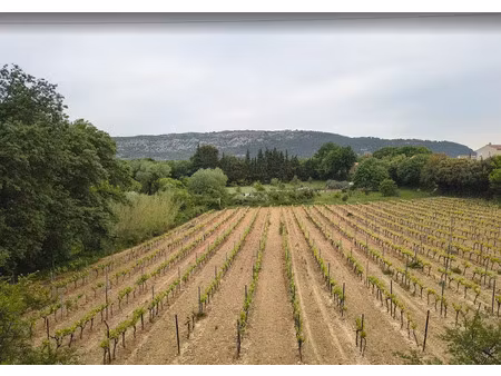 vente terrain à construire 1122 m² aubignan (84810)
