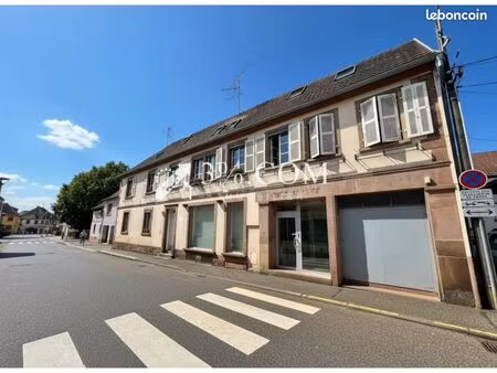 local 239 m²