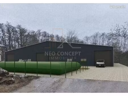 local commercial 339 m² haguenau