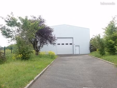 entrepôt 575 m² cernay