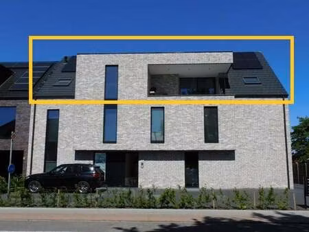 appartement à louer à helchteren € 1.290 (lnzje) - immo plees | zimmo