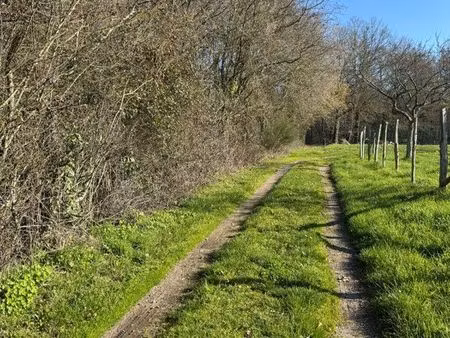 terrain de loisirs