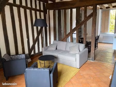 appartement lumineux vieux mans – 50 m2 - meublé