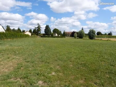 terrain constructible