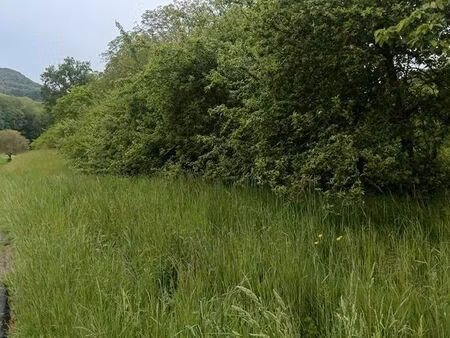 vends terrain en nature de verger bien exposé vue imprenable
