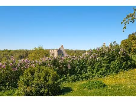 ancienne baronnière avec vue sur la forteresse d'angles-sur-l'anglin