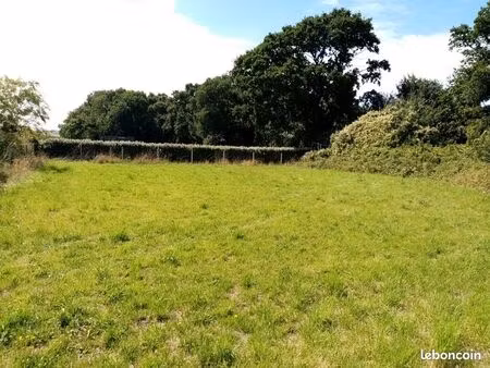 terrain 1 000 m² veulettes sur mer