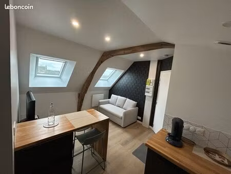 appartement intégralement refait et équipé à neuf