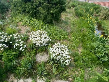 recherche terrain a vendre jardinage