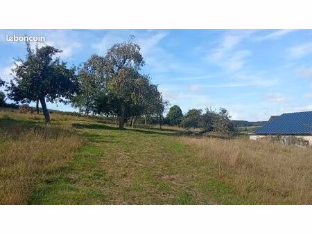 terrain 1 000 m² pierrecourt
