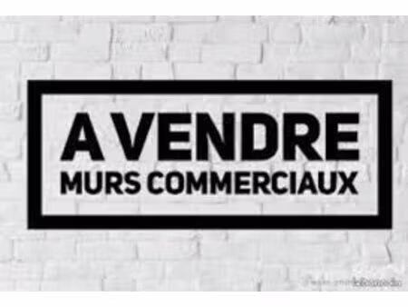 murs commerciaux 74 m² annecy