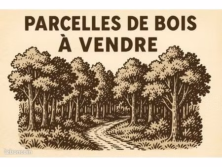 parcelles bois sud seine et marne