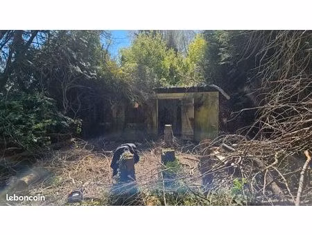 terrain à