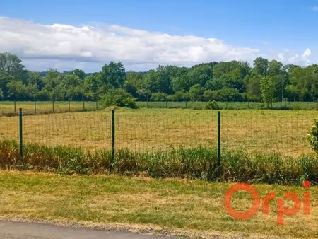 vente terrain à batir 1000 m² à la chapelle-hugon (18150)  17 000 €