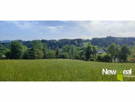 vente terrain 2500 m² à tulle (19000)  43 000 €