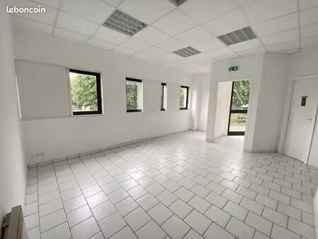 local 37 m²