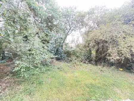 vente terrain au hézo (56450) : à vendre / le hézo