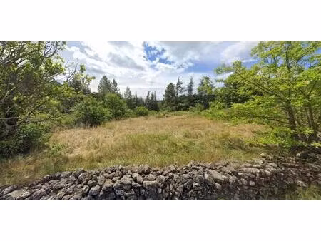 vente terrain 1350 m² saint-pierre-saint-jean (07140)