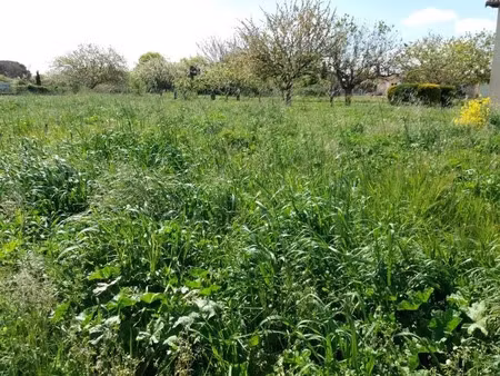 vente terrain 1100 m² à bragayrac (31470)  70 000 €
