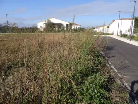 vente terrain 450 m² à grisolles (82170)  53 000 €