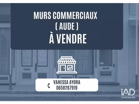 vente commerce 320 m² cuxac-d’aude (11590)