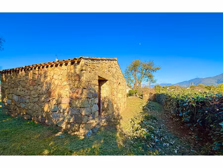 eccica-suarella (corse) : maison t4  grand garage  caseddu indépendant  terrain piscinable