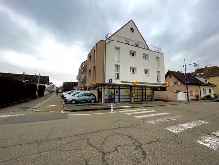 immobilier professionnel à louer sierentz