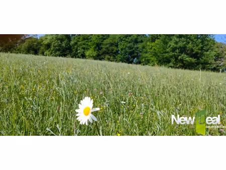 vente terrain 5060 m² à tulle (19000)  86 000 €