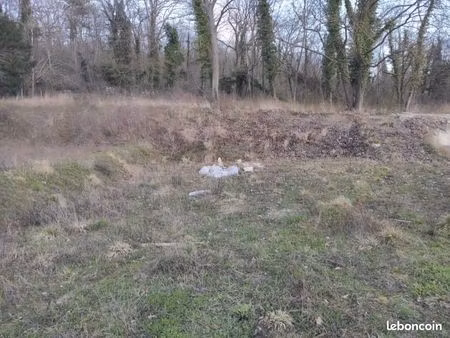 terrain 501 m² maule