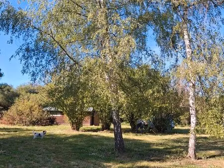 terrain de loisir 3 500 m² avec cabane équipée – au calme – accès rapide a71 - allier (03)
